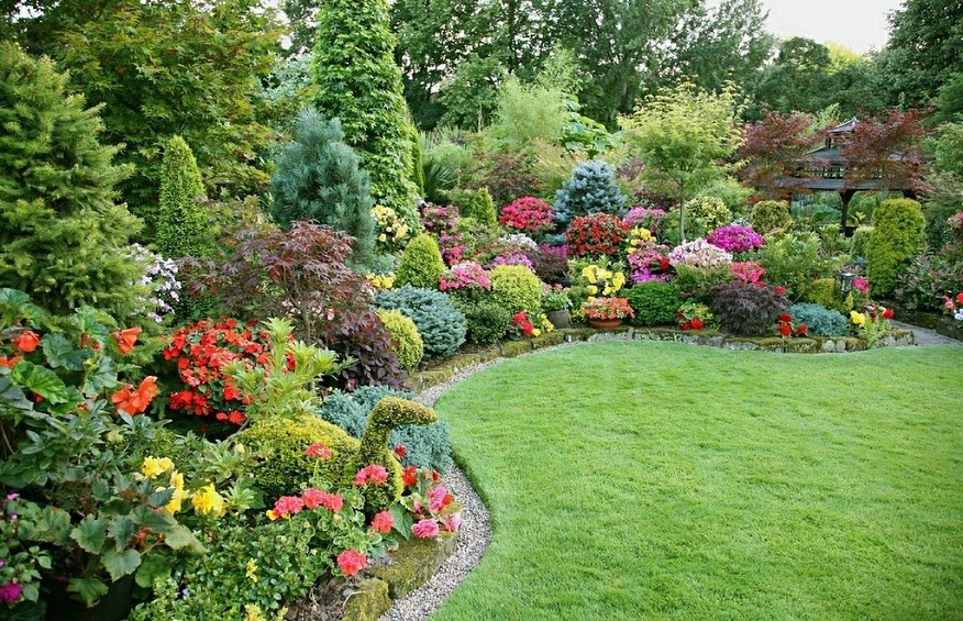 Development of flowerbeds