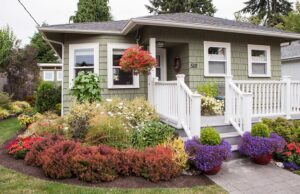 How to plan landscaping?