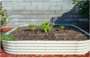 Bed Gardening Techniques