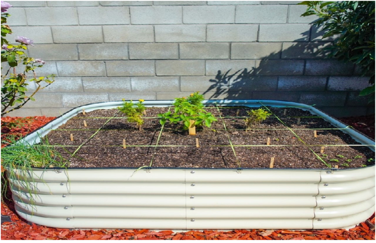 Why Have Raised Bed Gardening Techniques Taken Over Traditional Gardening Methods?