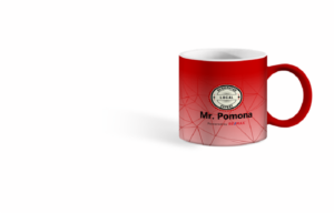 Best Realtors from the Rest