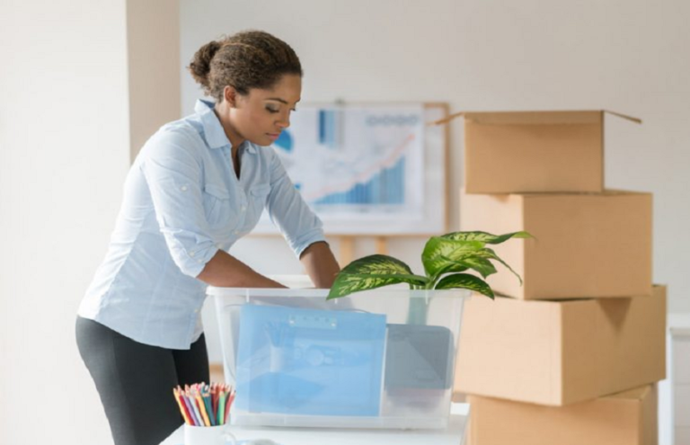The Science of a Seamless Move: How Professionals Ensure Success
