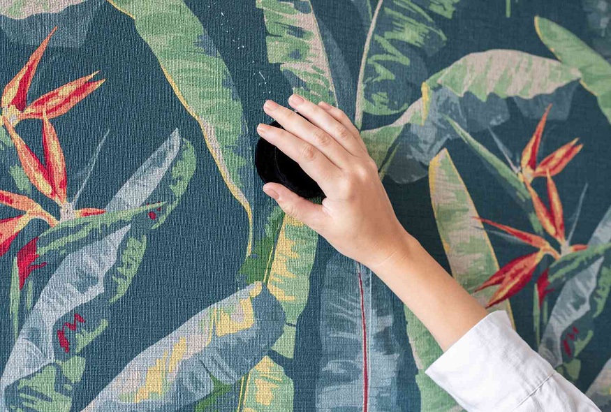 Removing Wallpaper from Plaster Walls